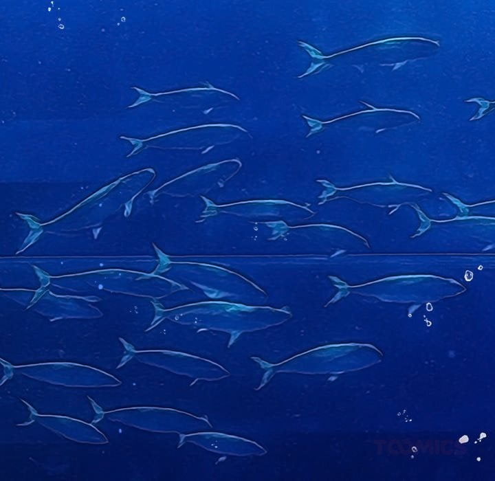 My High School Bully - Chapter 271 Page 140