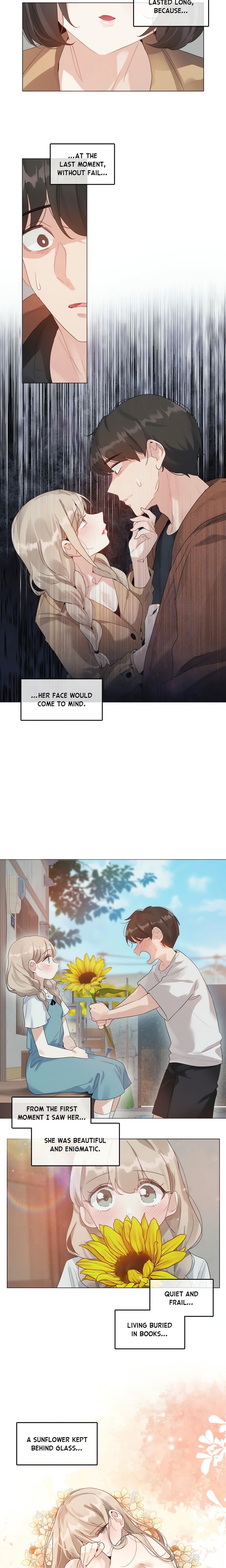 The Season When Sunflowers Whisper - Chapter 4 Page 9