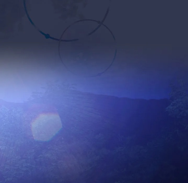 But I Love You - Chapter 32 Page 55